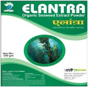 Elantra -Organic Seaweed Extract Powder
